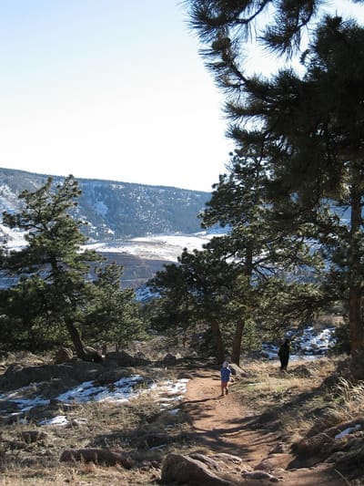 Snow under ponderosa pines at Hall Ranch with the hogback beyond
